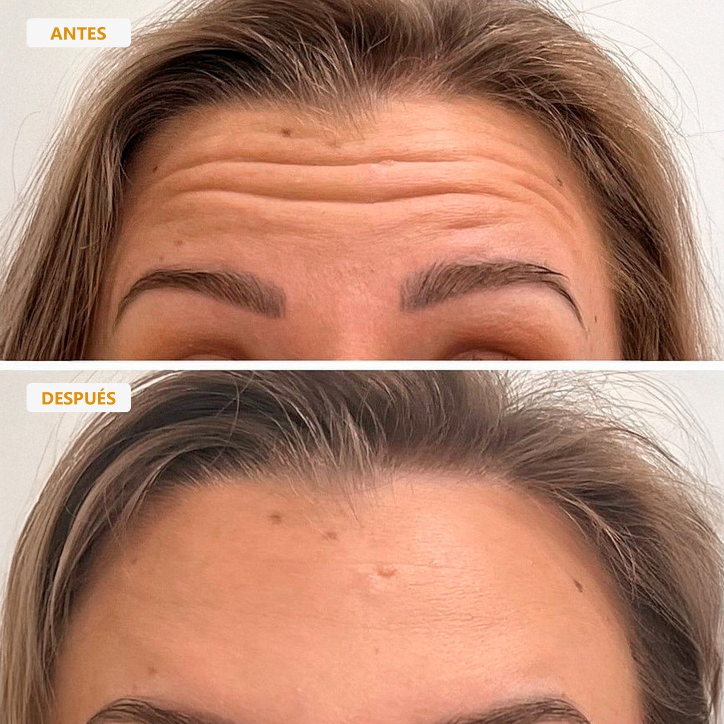 GINSAI | ESENCIA COREANA ANTIARRUGAS